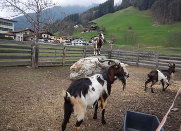 Badererhof