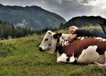 ARCHE Alm Seewaldsee